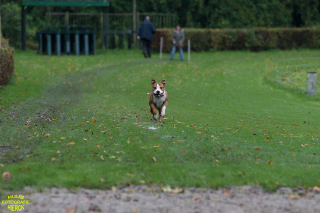 Ct3Q8428 37167227173 O