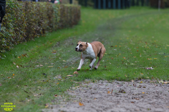 Ct3Q8426 37167227213 O