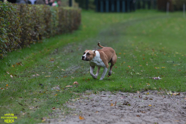 Ct3Q8425 37167227233 O