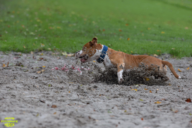 Ct3Q8422 37167227323 O