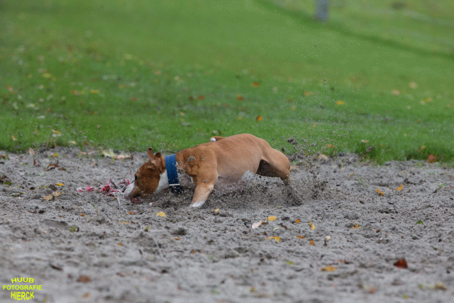 Ct3Q8420 37167227413 O