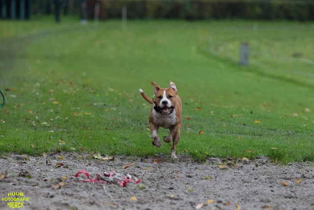 Ct3Q8419 37167227453 O