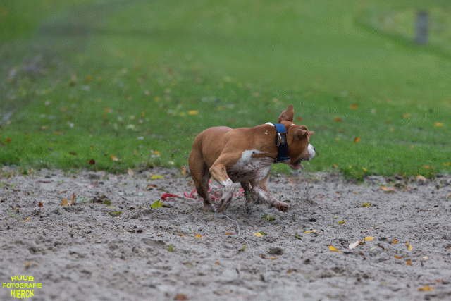 Ct3Q8417 37167227513 O