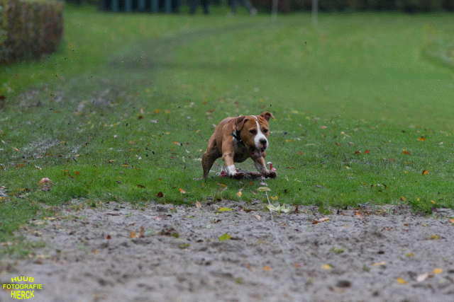 Ct3Q8413 37167227773 O