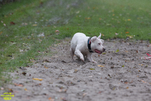 Ct3Q8408 37167227863 O