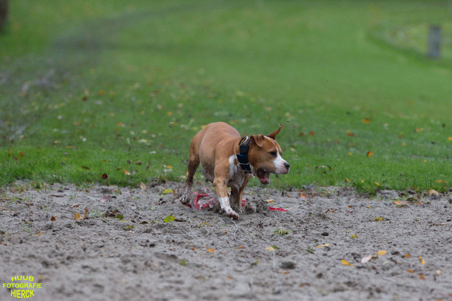 Ct3Q8415 37167227893 O