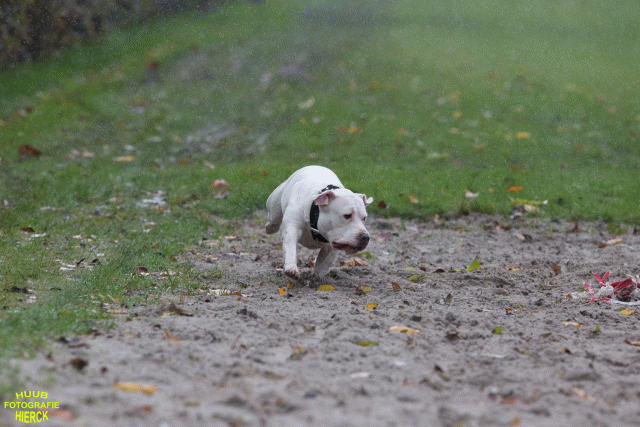 Ct3Q8406 37167227983 O