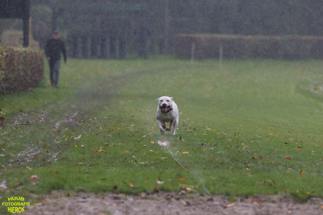 Ct3Q8404 37167228103 O