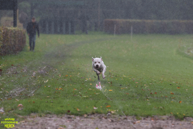 Ct3Q8405 37167228123 O