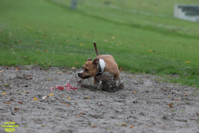 Ct3Q8398 37167228403 O