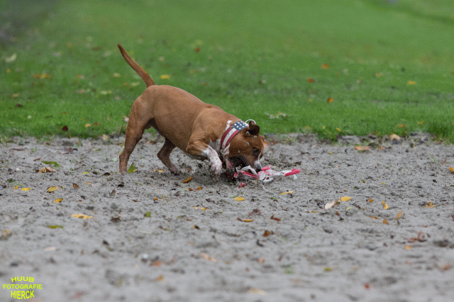 Ct3Q8395 37167228483 O