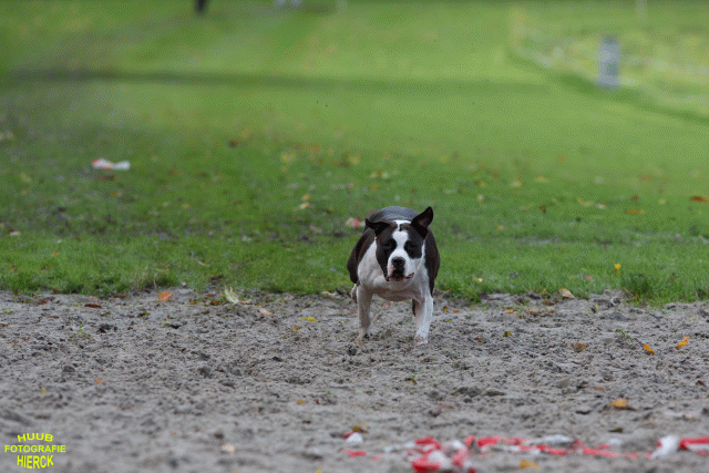 Ct3Q8692 37167260513 O