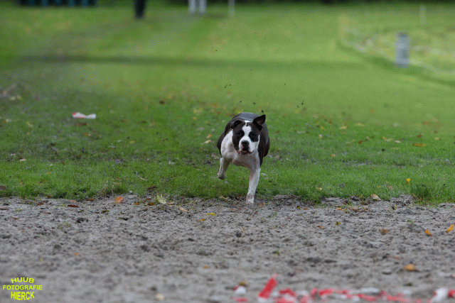 Ct3Q8689 37167260673 O