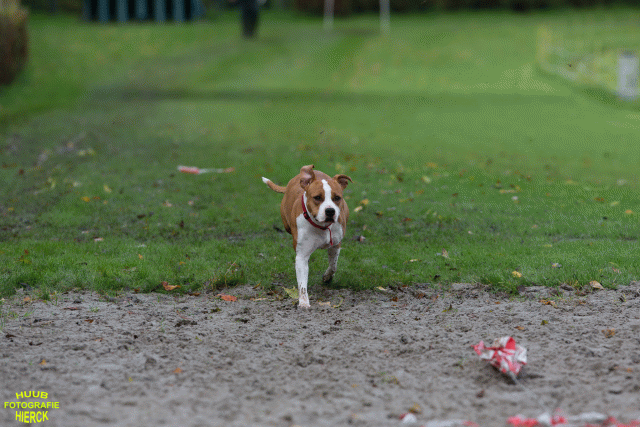 Ct3Q8639 37167263443 O