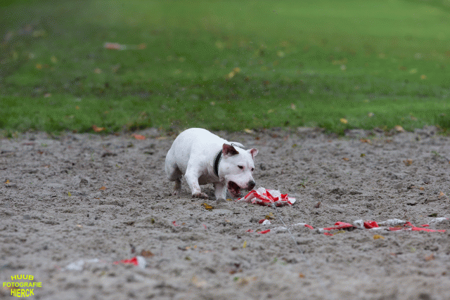 Ct3Q8632 37167263663 O