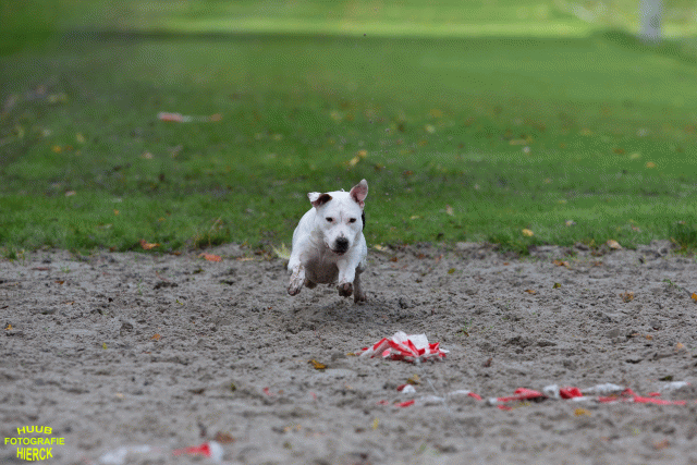 Ct3Q8629 37167263943 O