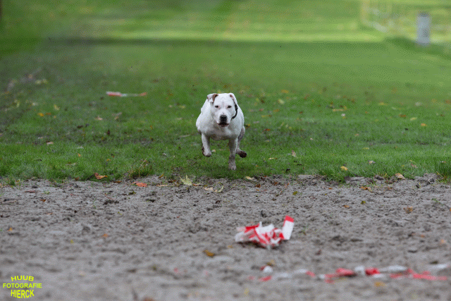 Ct3Q8624 37167264203 O