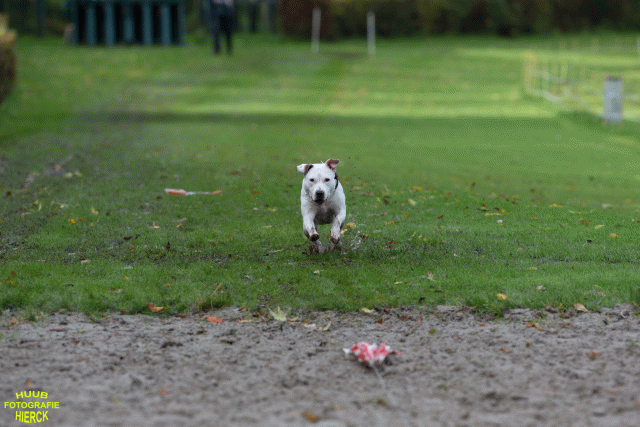 Ct3Q8619 37167264533 O