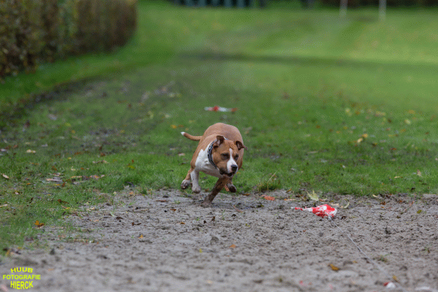 Ct3Q8615 37167264653 O