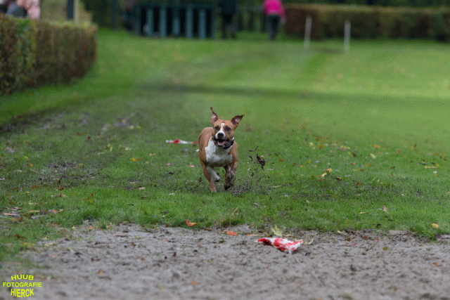 Ct3Q8611 37167264903 O