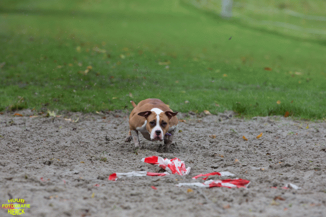 Ct3Q8605 37167265213 O