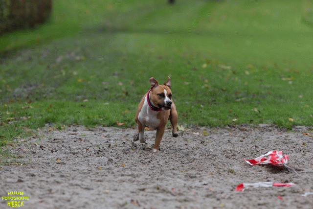 Ct3Q8593 37177217464 O