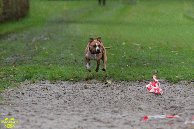 Ct3Q8590 37177217864 O