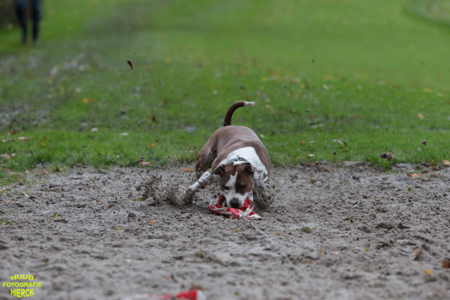 Ct3Q8584 37177218254 O