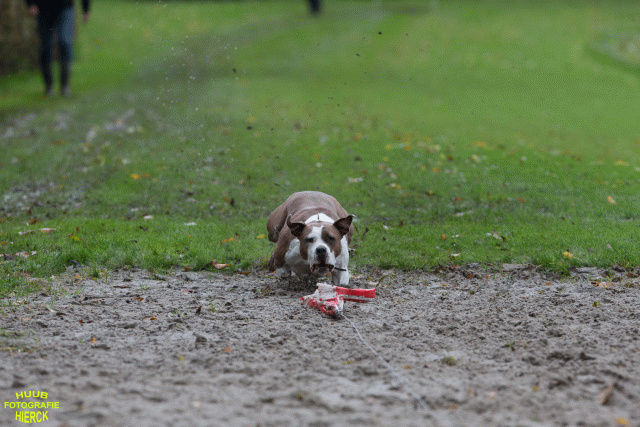 Ct3Q8581 37177218504 O