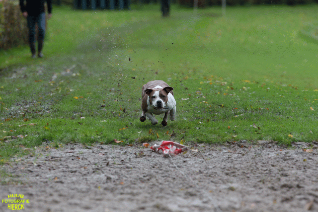 Ct3Q8579 37177218724 O