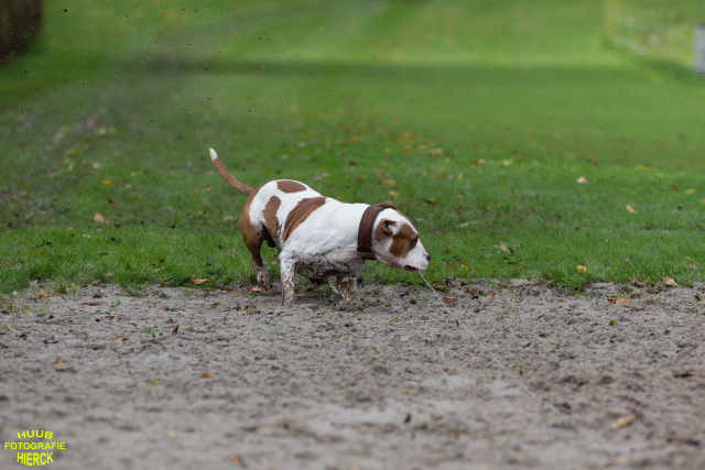 Ct3Q8552 37177220054 O