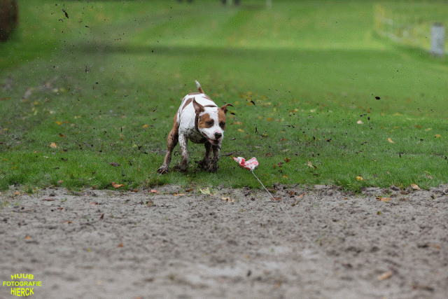 Ct3Q8549 37177220154 O