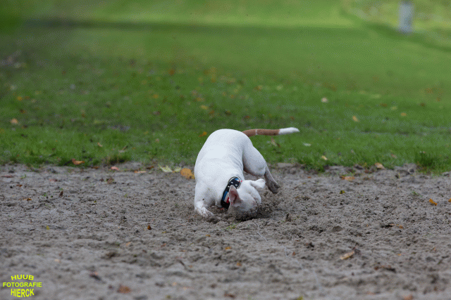 Ct3Q8540 37177220644 O