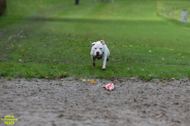 Ct3Q8538 37177220774 O