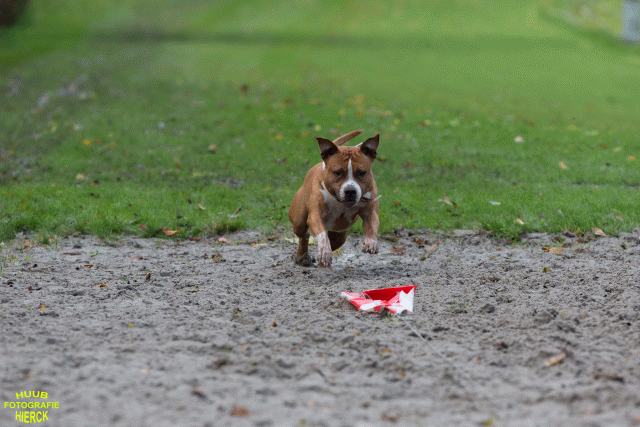 Ct3Q8533 37177222634 O