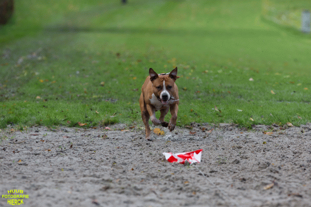 Ct3Q8532 37177222664 O