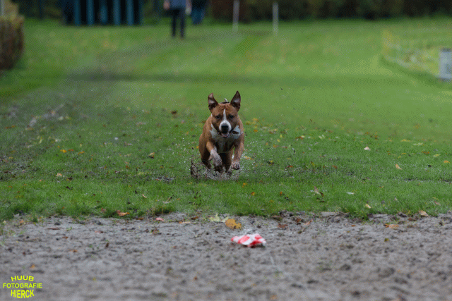 Ct3Q8529 37177222784 O