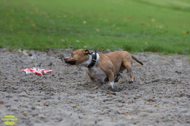 Ct3Q8528 37177222904 O