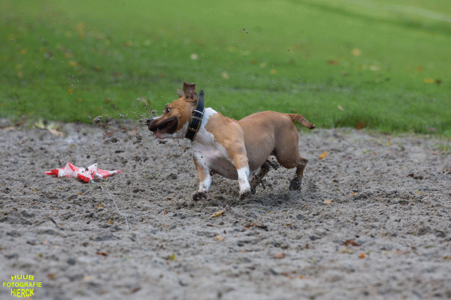 Ct3Q8527 37177222924 O