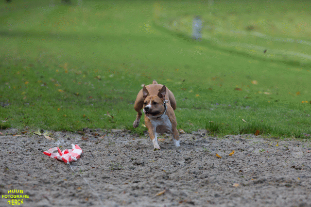 Ct3Q8524 37177223134 O