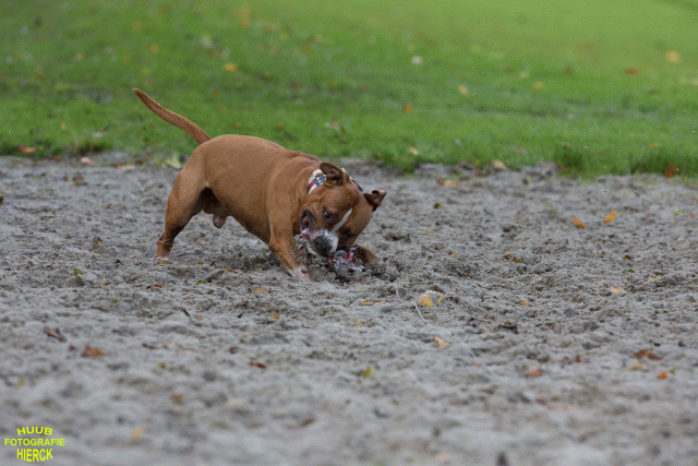 Ct3Q8521 37177223804 O