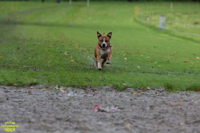 Ct3Q8512 37177224184 O