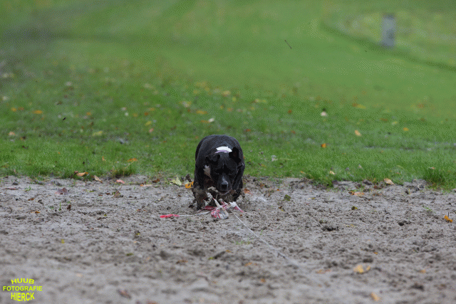 Ct3Q8503 37177225704 O