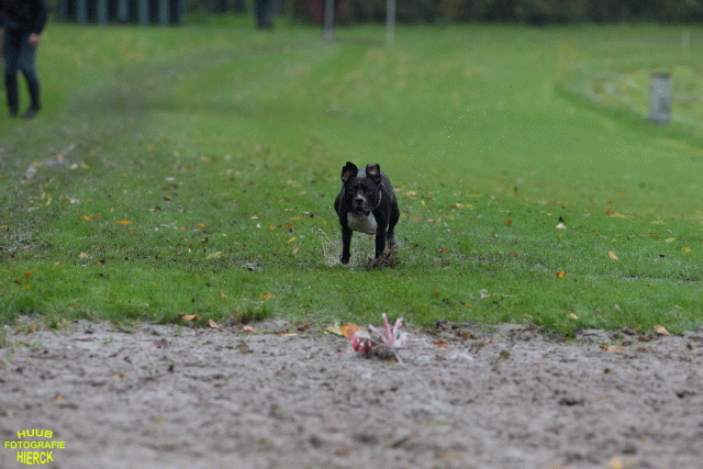 Ct3Q8497 37177226104 O