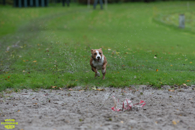 Ct3Q8480 37177227254 O