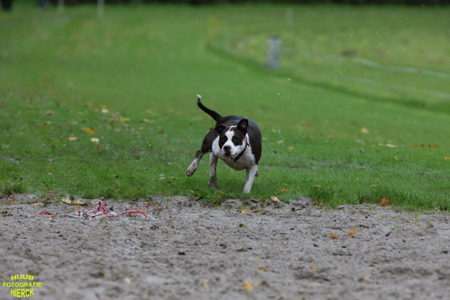 Ct3Q8476 37177227574 O