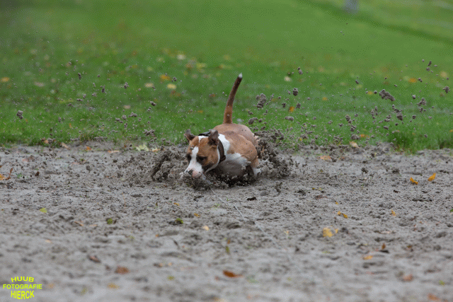 Ct3Q8467 37177228284 O