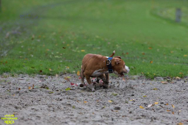 Ct3Q8416 37177232534 O