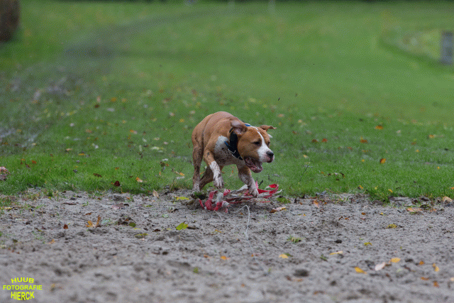 Ct3Q8414 37177232814 O