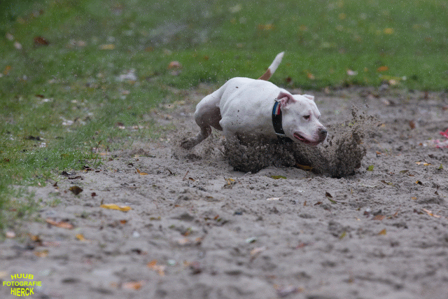 Ct3Q8409 37177233034 O